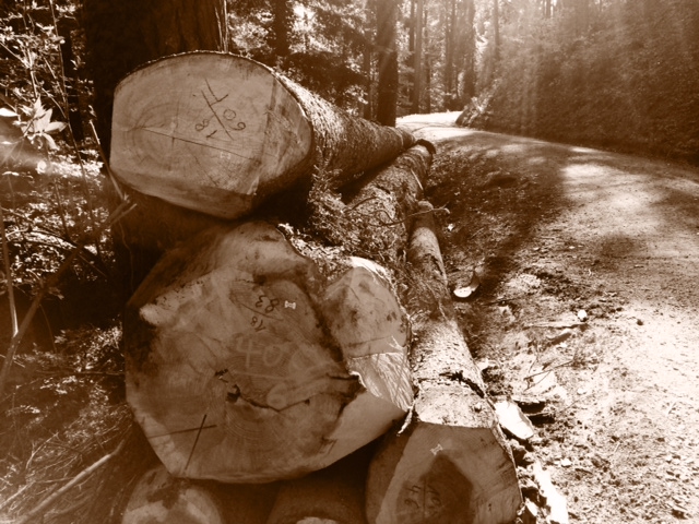 Houten vloer brede planken