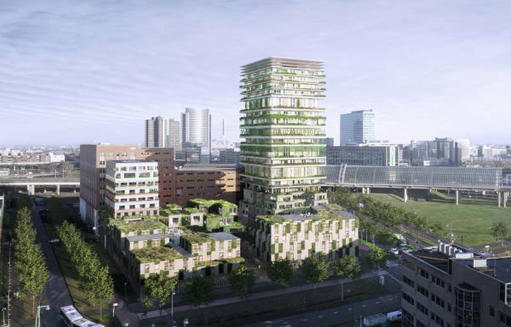 Vertical in Amsterdam